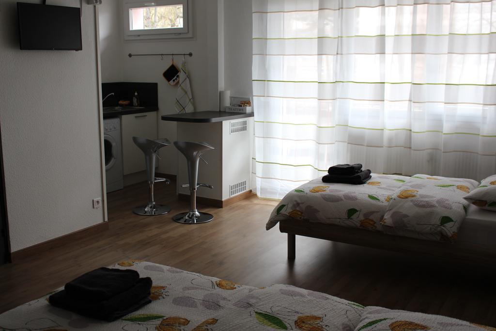 Studios near Basel Airport Saint-Louis  Exterior foto